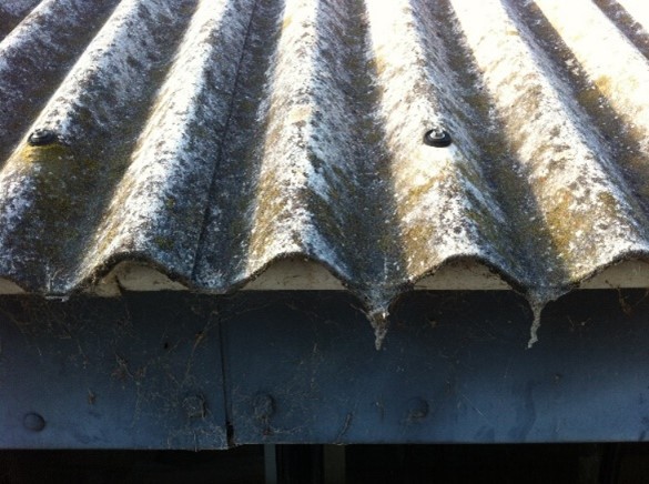 Asbestos Roof Removal 3